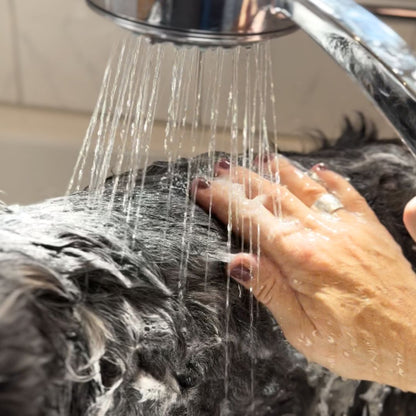 Flüssiges Hundeshampoo "DoggoDusch"