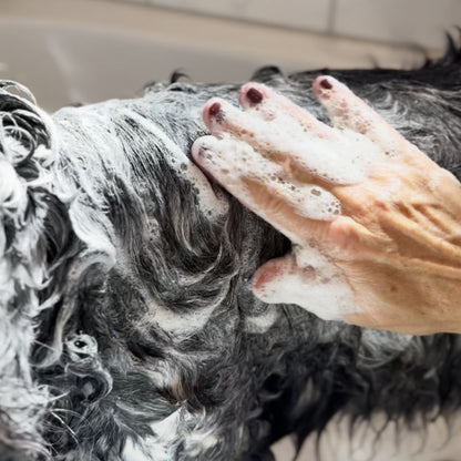Feste Hundeseife "Doggo Wash" - vegan