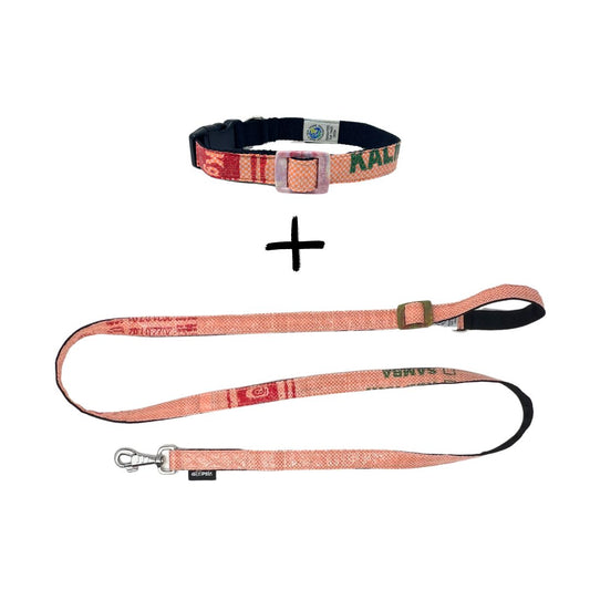 Leinenset Arugam mit Halsband Gr. M (32-42cm) - lachs