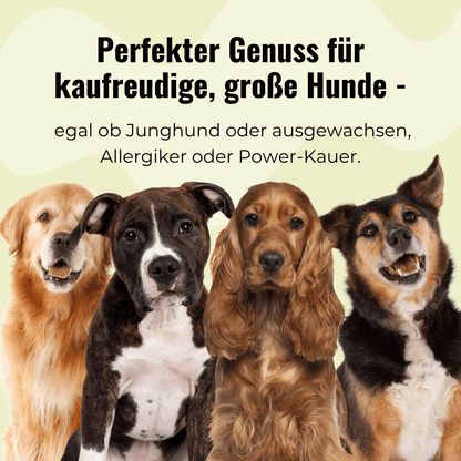 Kau-Set Reh – 6 Rehbeine & 300 g Rehrippen