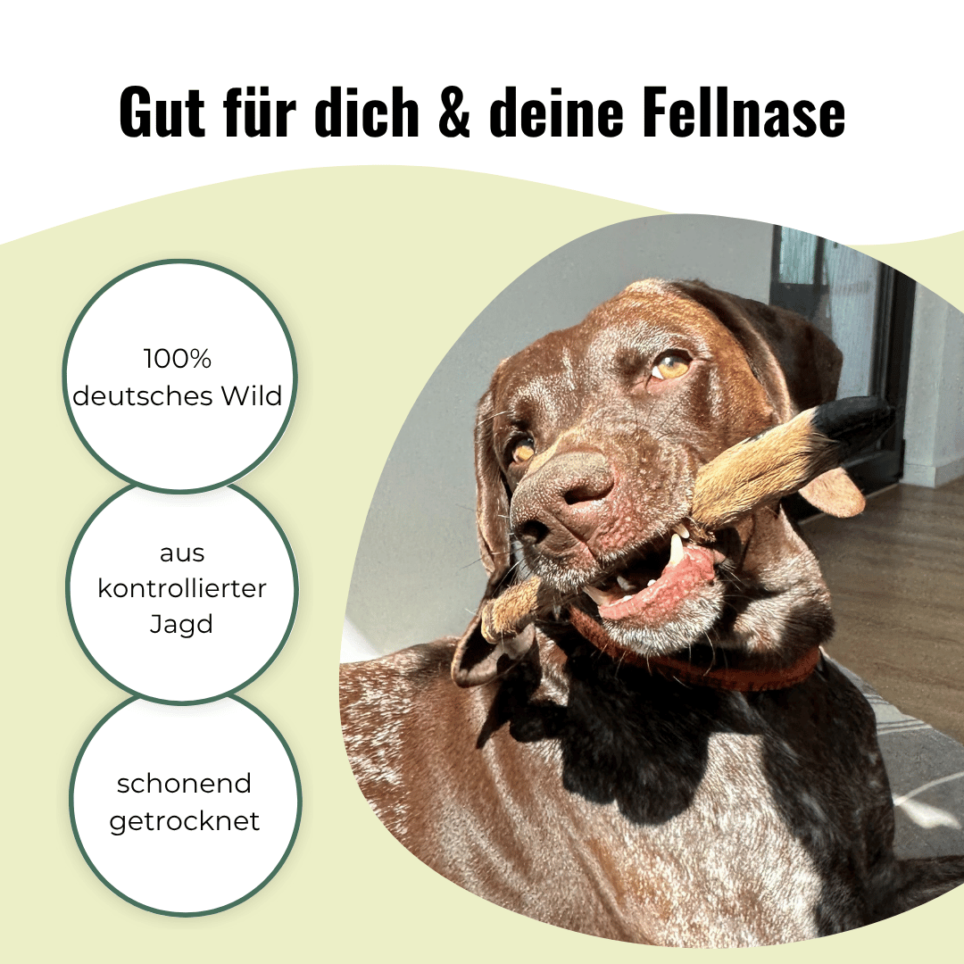 Kau-Set-Mix – 6 Rehbeine & 5 Ochsenziemer