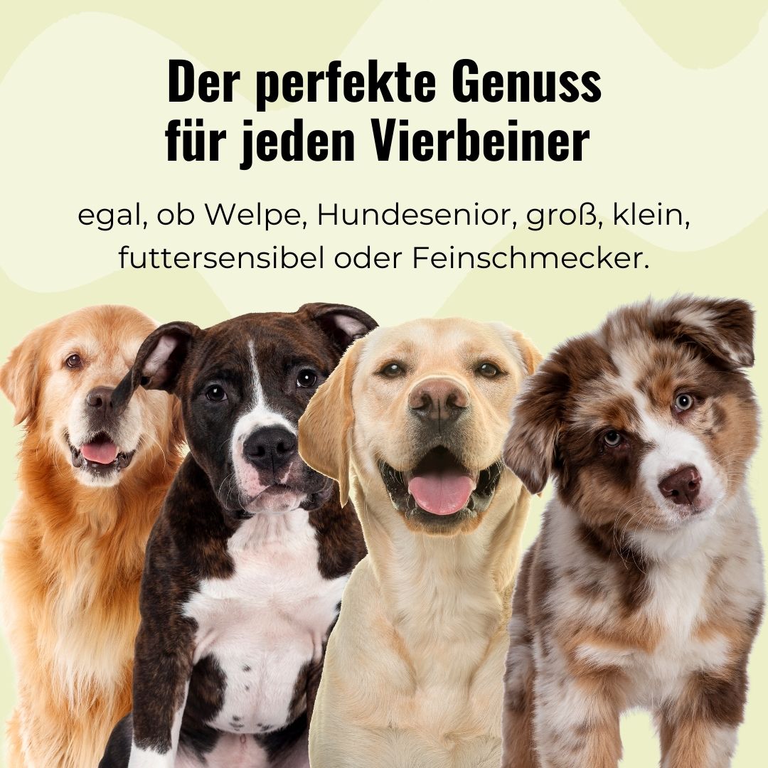 Rinderpansen für Hunde, getrocknet