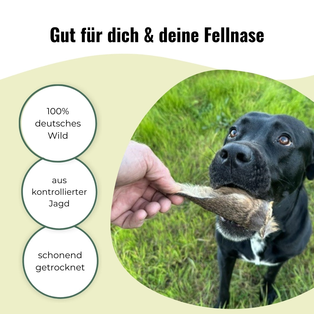 Rehohren mit Fell für Hunde, getrocknet