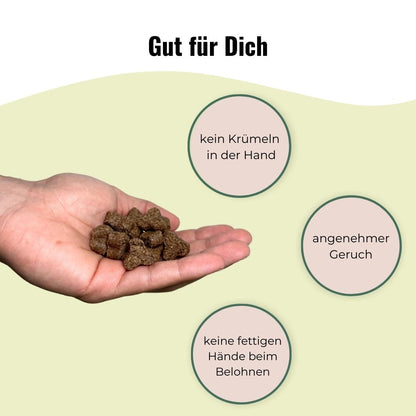 Hundeleckerlis Insekt