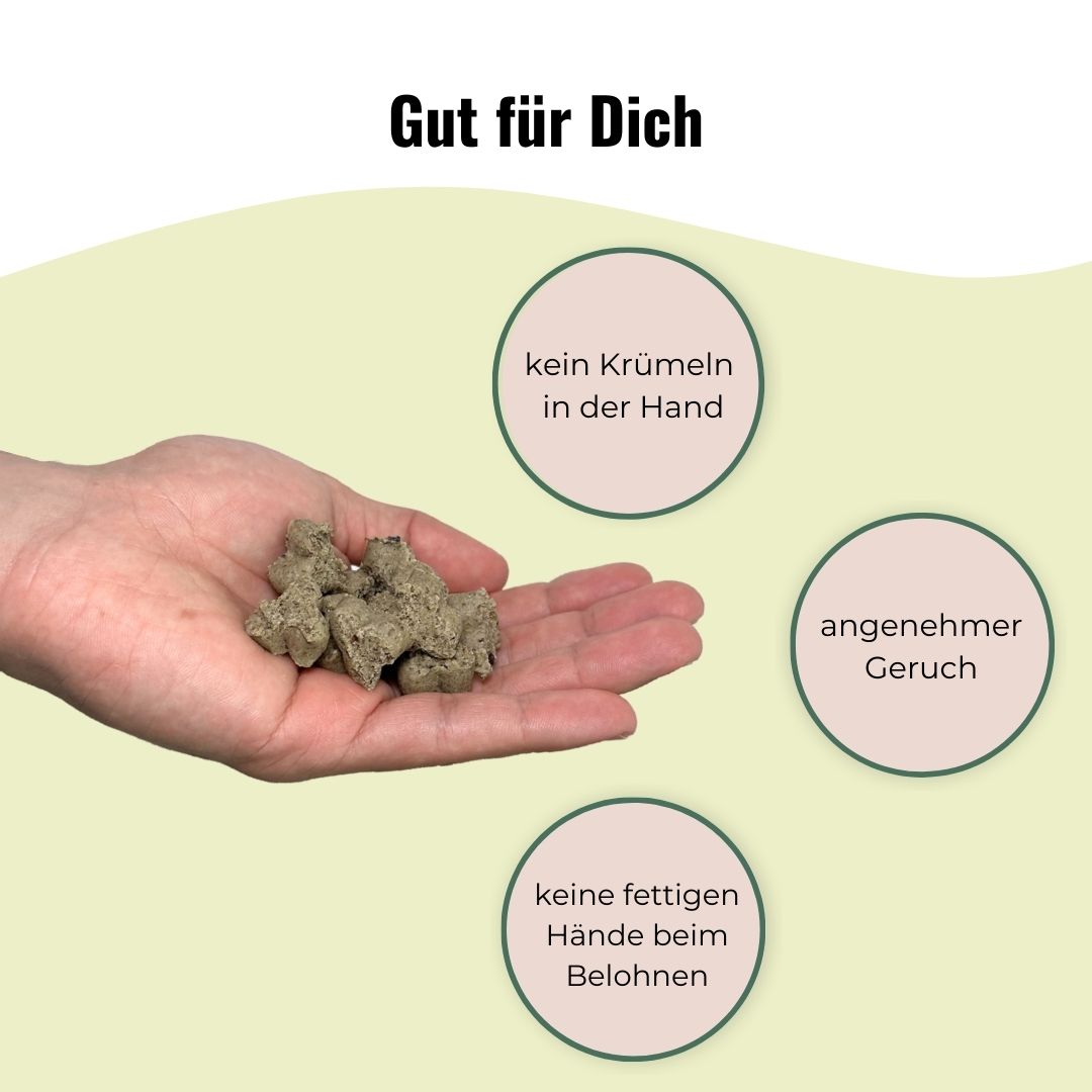 Hundeleckerlis Vegetarisch