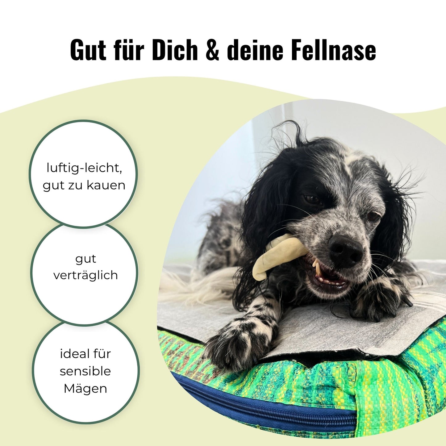 Lammohren für Hunde, getrocknet