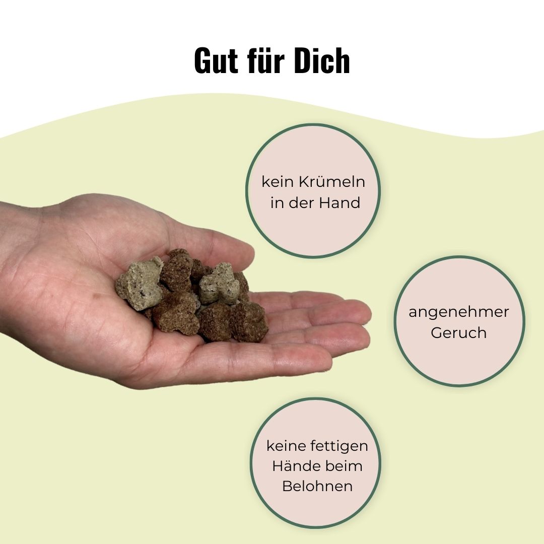 Hundeleckerlis Probierpaket