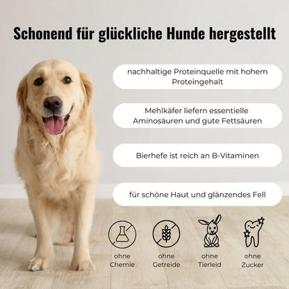 Hundeleckerlis Insekt