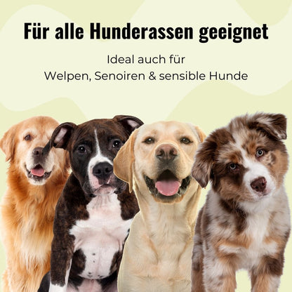 Hundeleckerlis Probierpaket