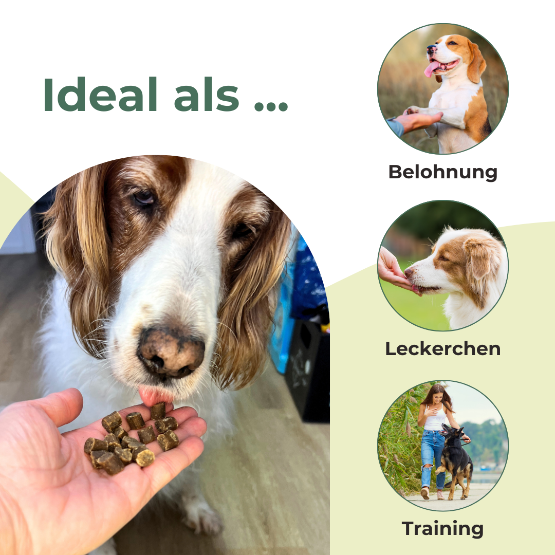 Kartoffel-Softies Wild Mini - Trainingshappen (ab 200 g)