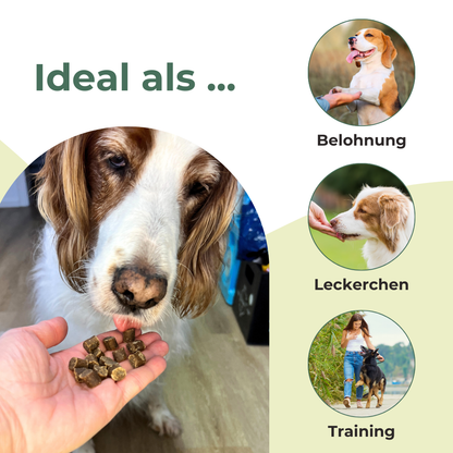 Kartoffel-Softies Wild Mini - Trainingshappen (ab 200 g)