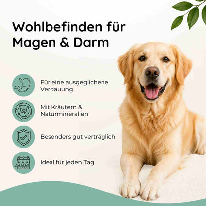 Bauchwohl - Magen & Darm