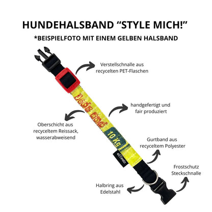 Leinenset "Lanka" mit Halsband Gr. L (37-51cm) - blau