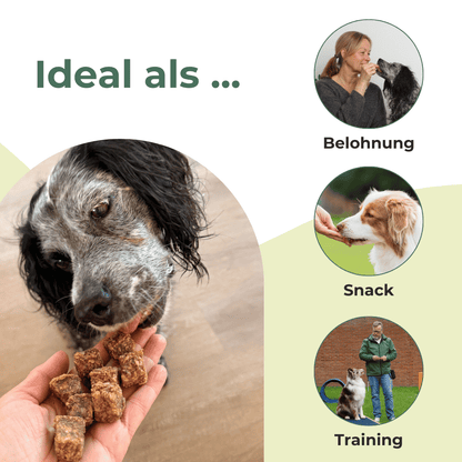 Würfel-Happen Wild - 200g