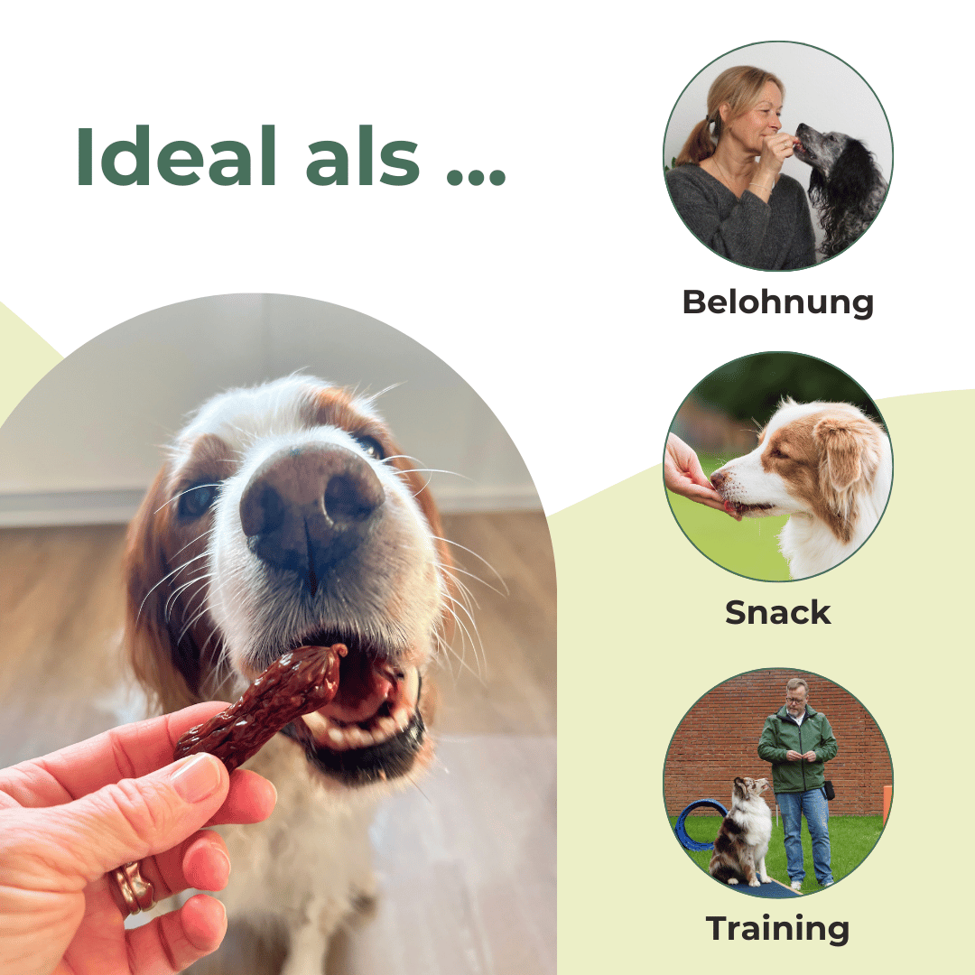 Wild Set Kausnack für Hunde: 6 Rehbeine + 200 g Endloswürstchen Hirsch