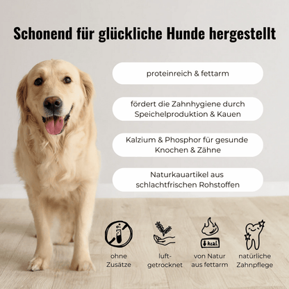 Ochsenziemer 5 Stück, 12 cm