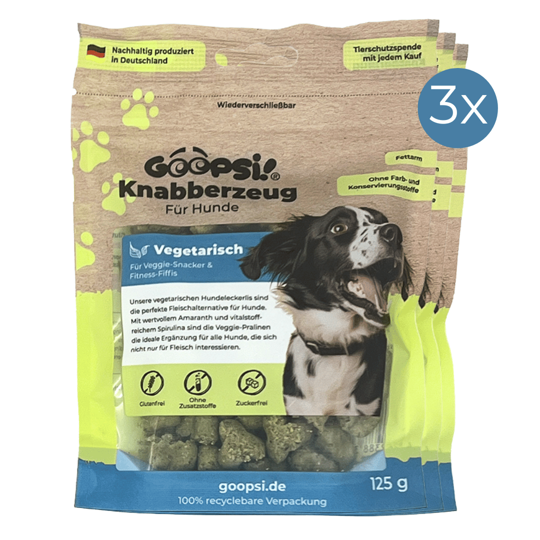 vegetarische Hundeleckerlis