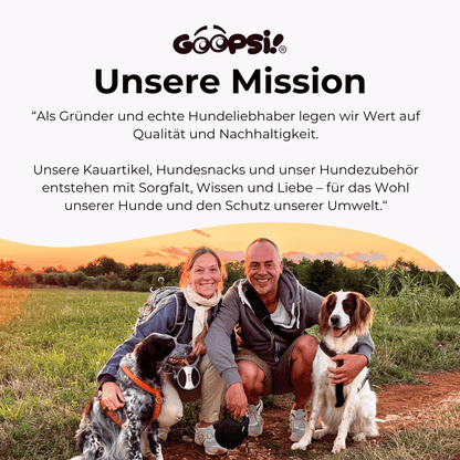 Set Futterdummy Orange & Trainingshappen