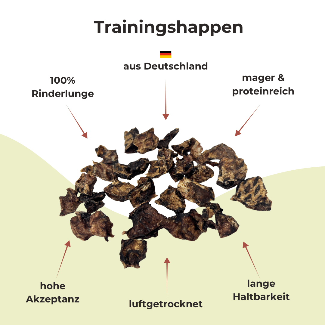 Set Futterdummy Orange & Trainingshappen