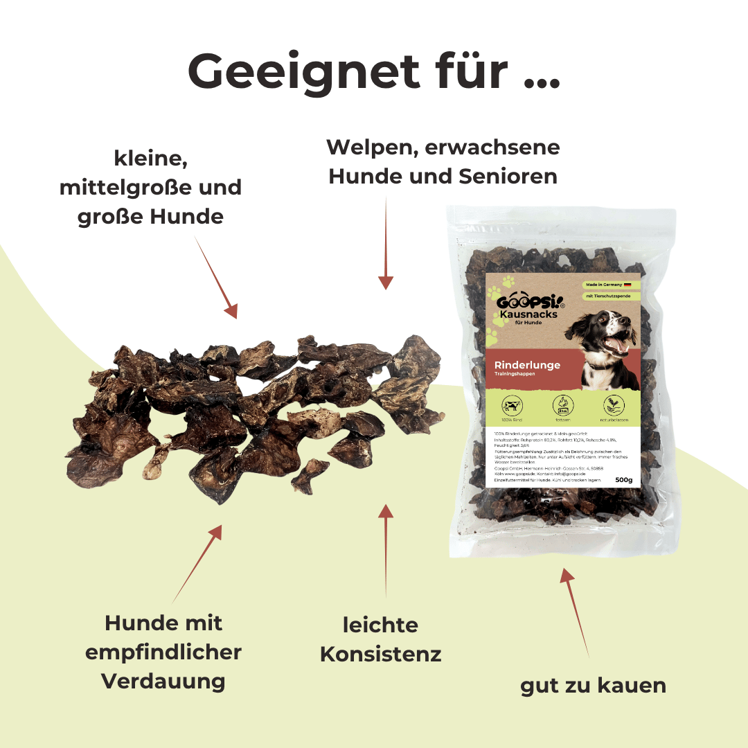 Set Futterdummy Orange & Trainingshappen