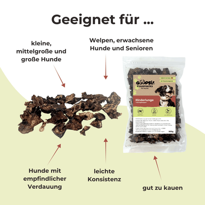 Set Futterdummy Orange & Trainingshappen