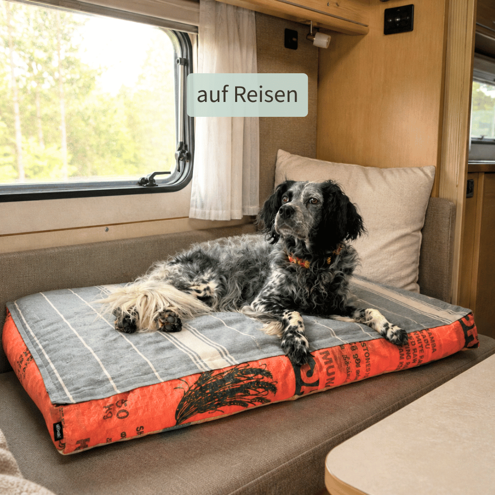 Hundekissen mit Baumwollfüllung