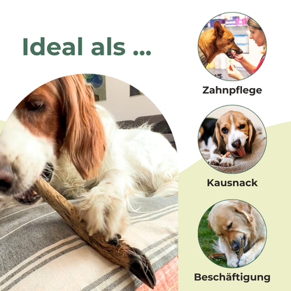 Rehbeine für Hunde