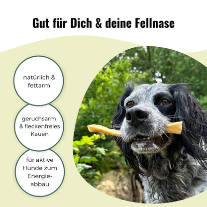 Rinderkopfhaut für Hunde, getrocknet