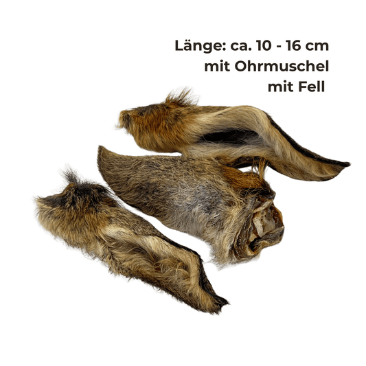 Rehohren mit Fell - 12 Stk.