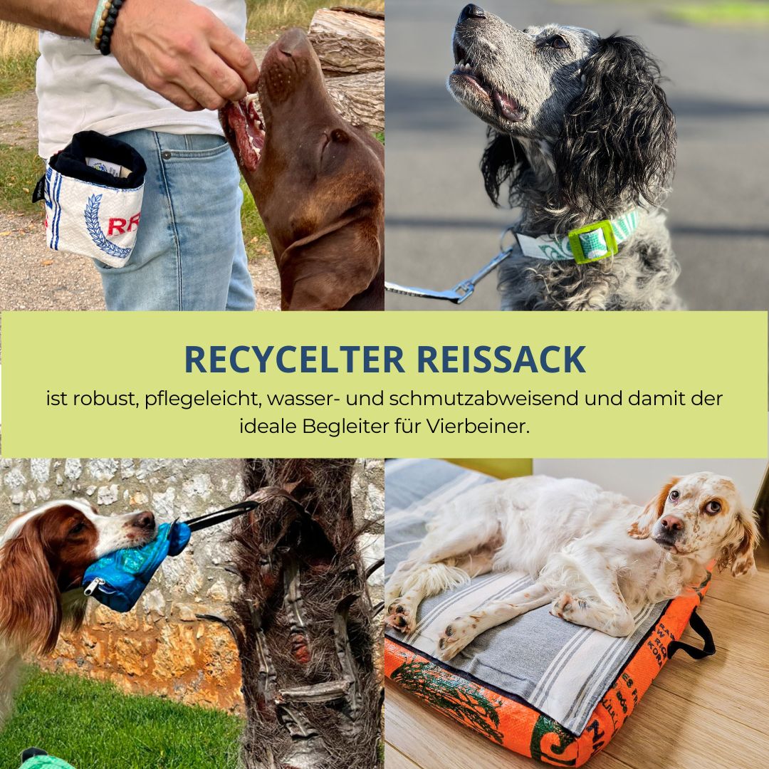 Outdoor Hundedecke "Wart ma" - versch. Farben