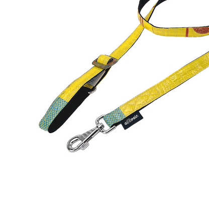 Bundle Hundeleine/Halsband in versch. Größen "Gelb"
