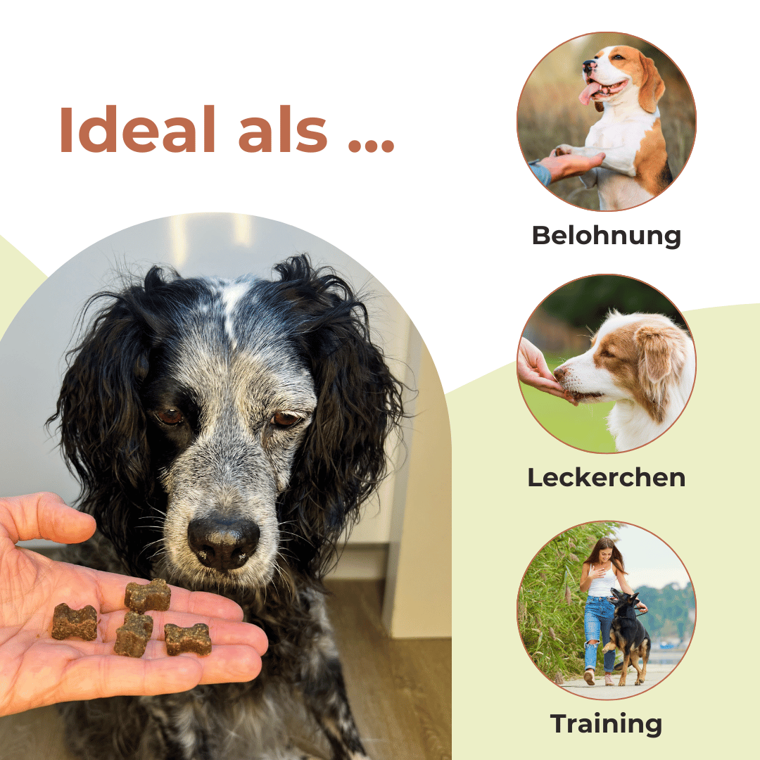 Fleisch-Softies Kaninchen - Trainingsknöchelchen (ab 200g)
