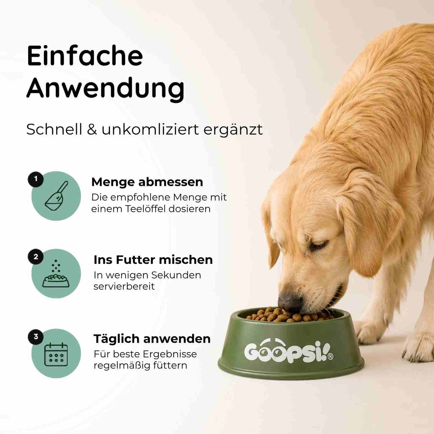 Bauchwohl - Magen & Darm