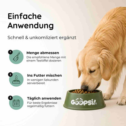 Bauchwohl - Magen & Darm