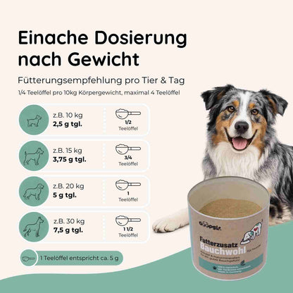 Bauchwohl - Magen & Darm