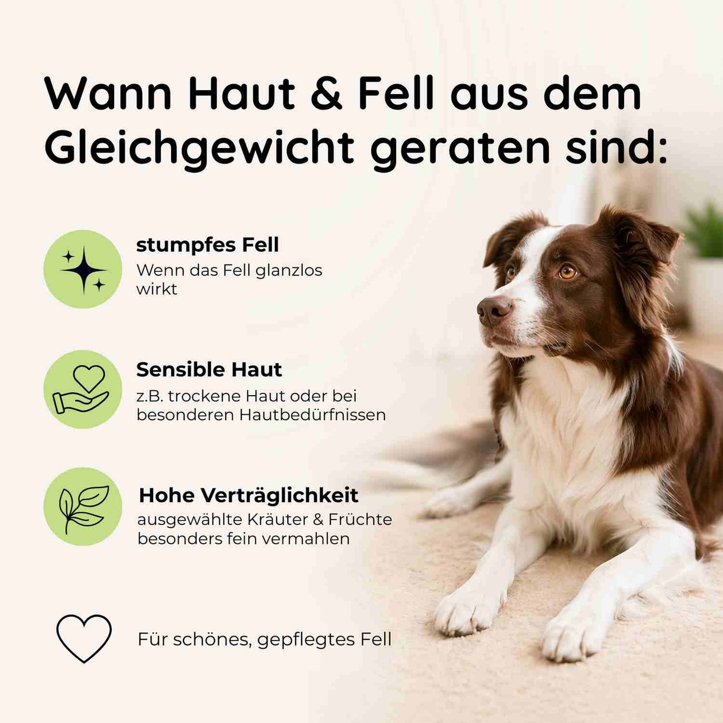 Fellglanz - Haut & Fell
