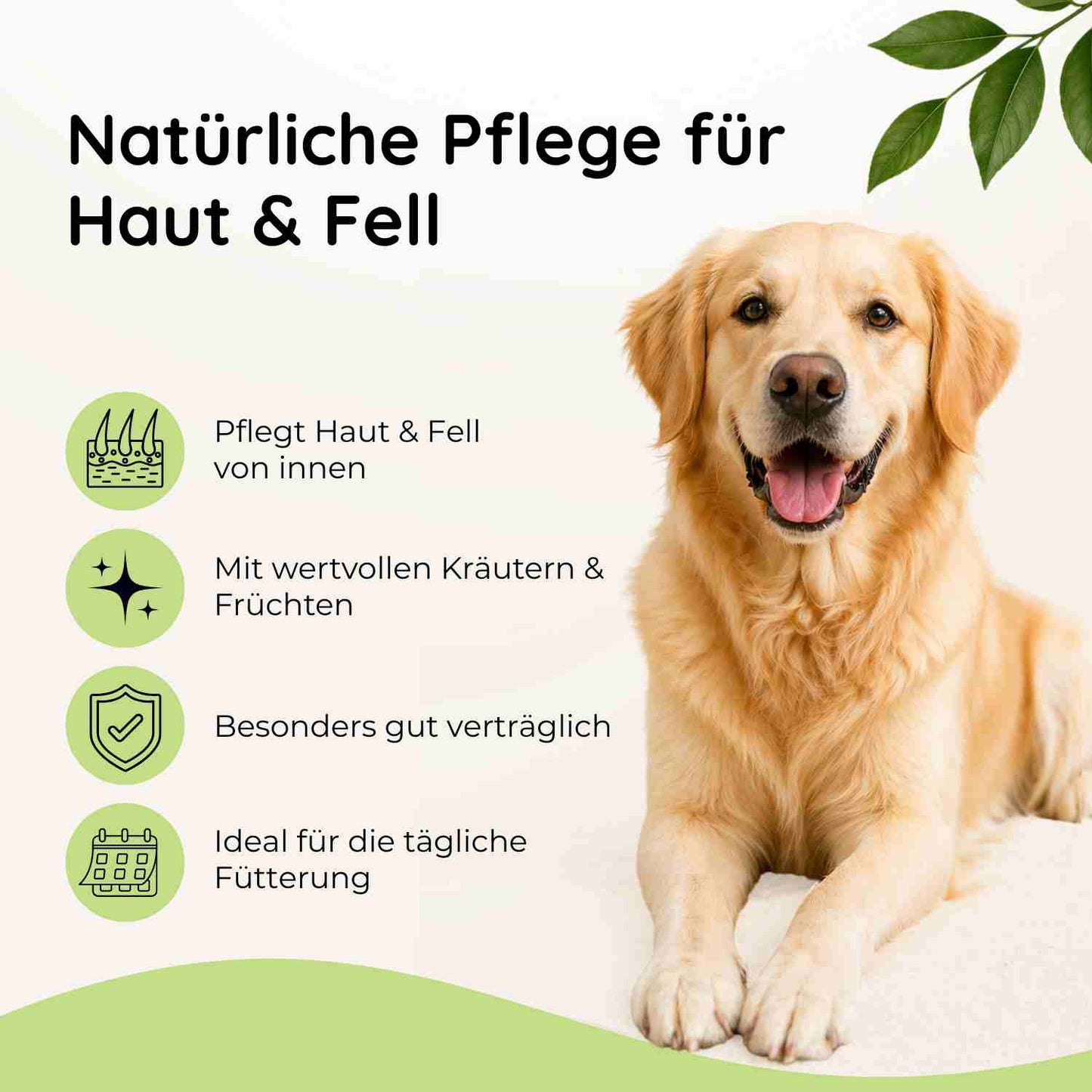 Fellglanz - Haut & Fell