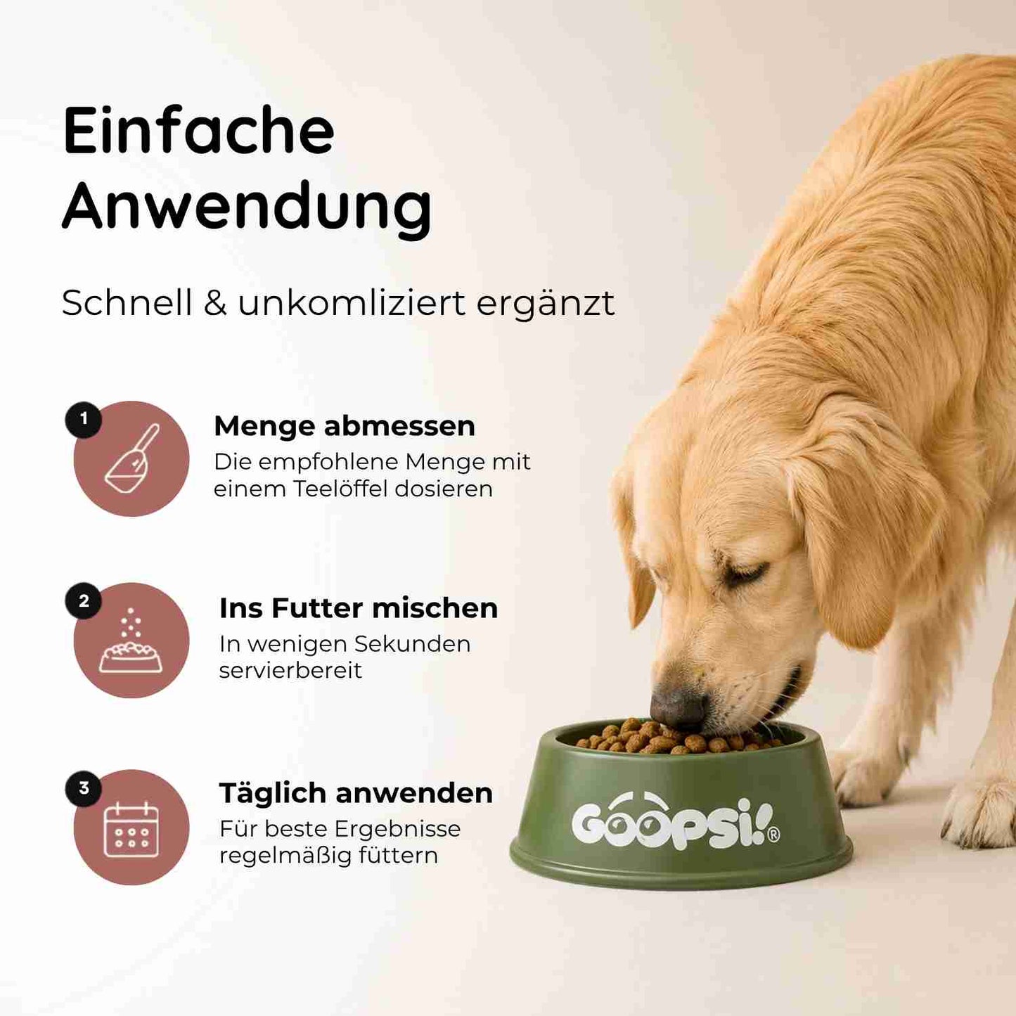 Gelenkwohl - Knochen & Gelenke
