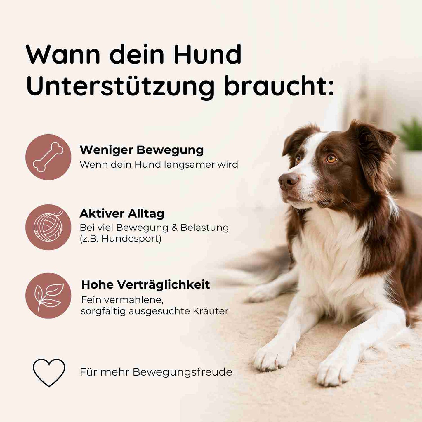 Gelenkwohl - Knochen & Gelenke
