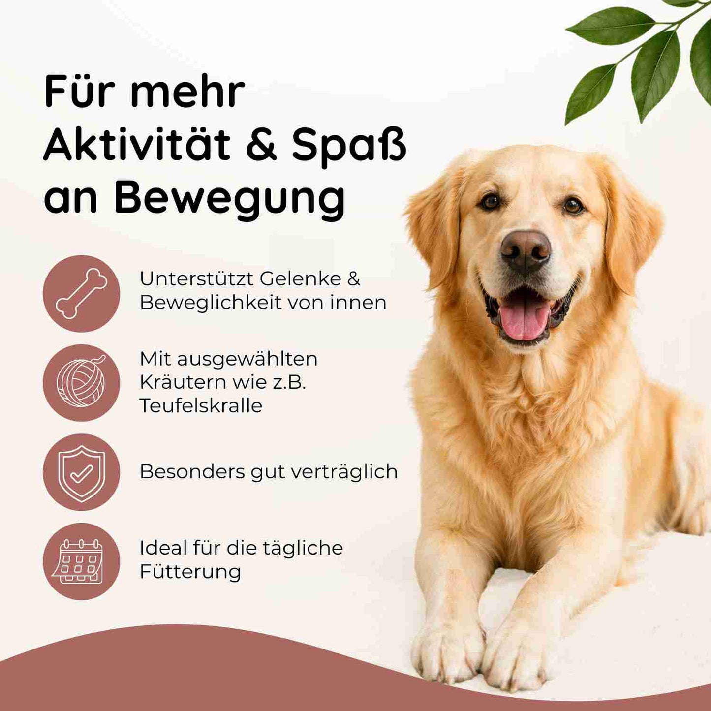 Gelenkwohl - Knochen & Gelenke