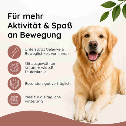 Gelenkwohl - Knochen & Gelenke