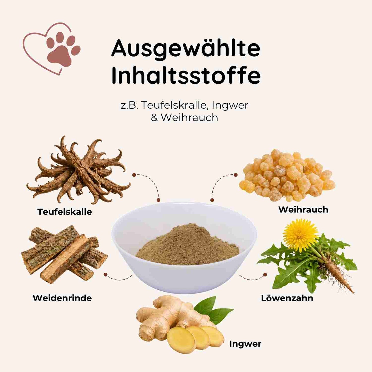Gelenkwohl - Knochen & Gelenke