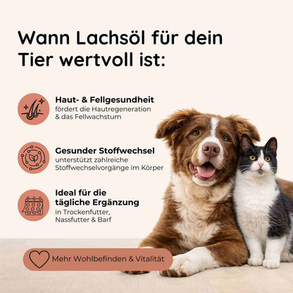 Lachsöl für Hunde & Katzen