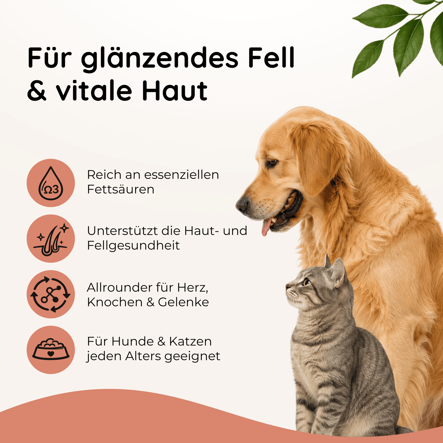Lachsöl für Hunde & Katzen