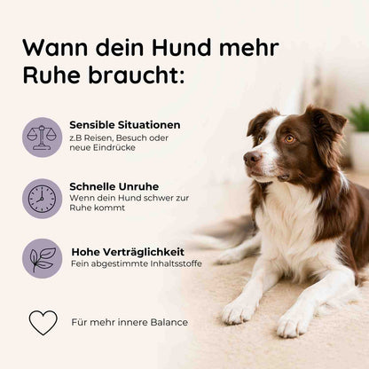 Seelenruhe - Ruhe & innere Balance