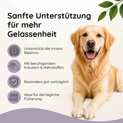 Seelenruhe - Ruhe & innere Balance