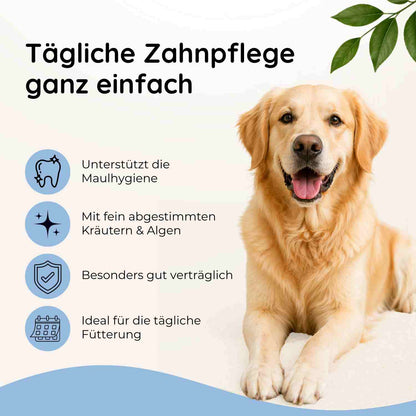 Zahnpflege - Maul & Zähne