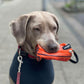 Futterbeutel Futterdummy für Hunde Apportierspielzeug Snackdummy zum trainieren und spielen upcycling aus Reissack fairtrade nachhaltig befüllbar