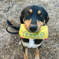 Futterbeutel Futterdummy für Hunde Apportierspielzeug Snackdummy zum trainieren und spielen upcycling aus Reissack fairtrade nachhaltig befüllbar