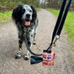 Goopsi nachhaltiger Kotbeutelspender Kotbeuteltasche upcycling Poop bag aus Reissack mit Edelstahlkarabiner zum Befestigen an Leine oder Gürtelschlaufe für gängige Kotbeutelrollen (bis 6cm) geeignet fairtrade